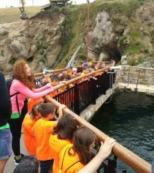 Día de excursiones en el blog del campamento…